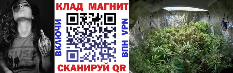 Купить закладку Волгоград Псилоцибиновые грибы  Мефедрон  КОКАИН  АМФ  MDMA  ГАШИШ  APVP  Марихуана 