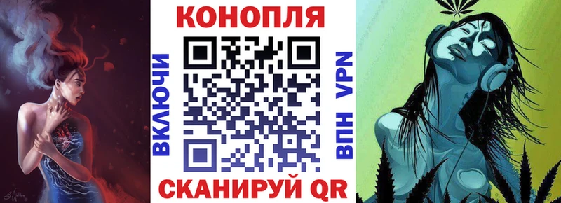 как найти   Волгоград  kraken ссылки  Каннабис планчик 